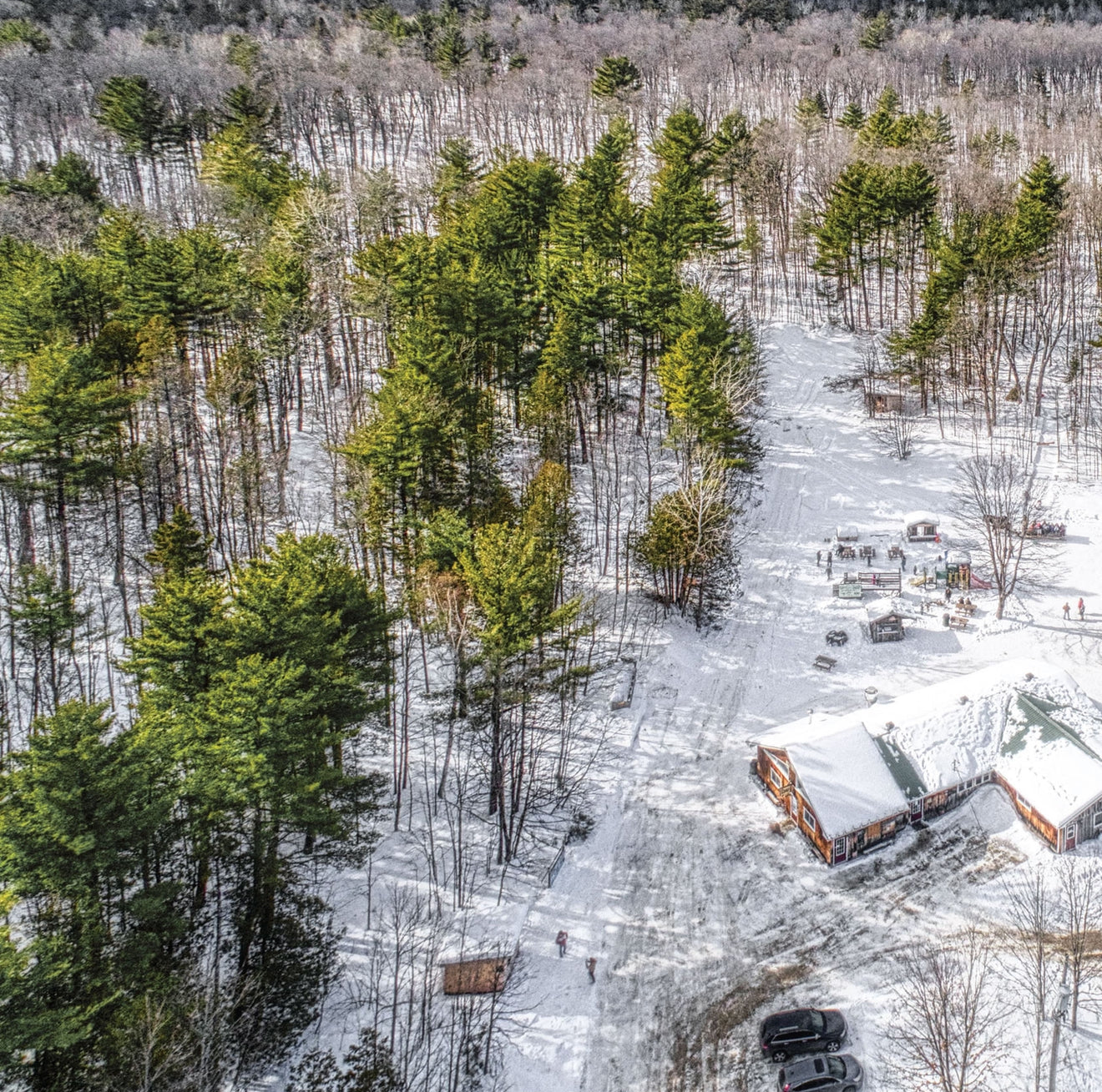 Passes and Gift Cards